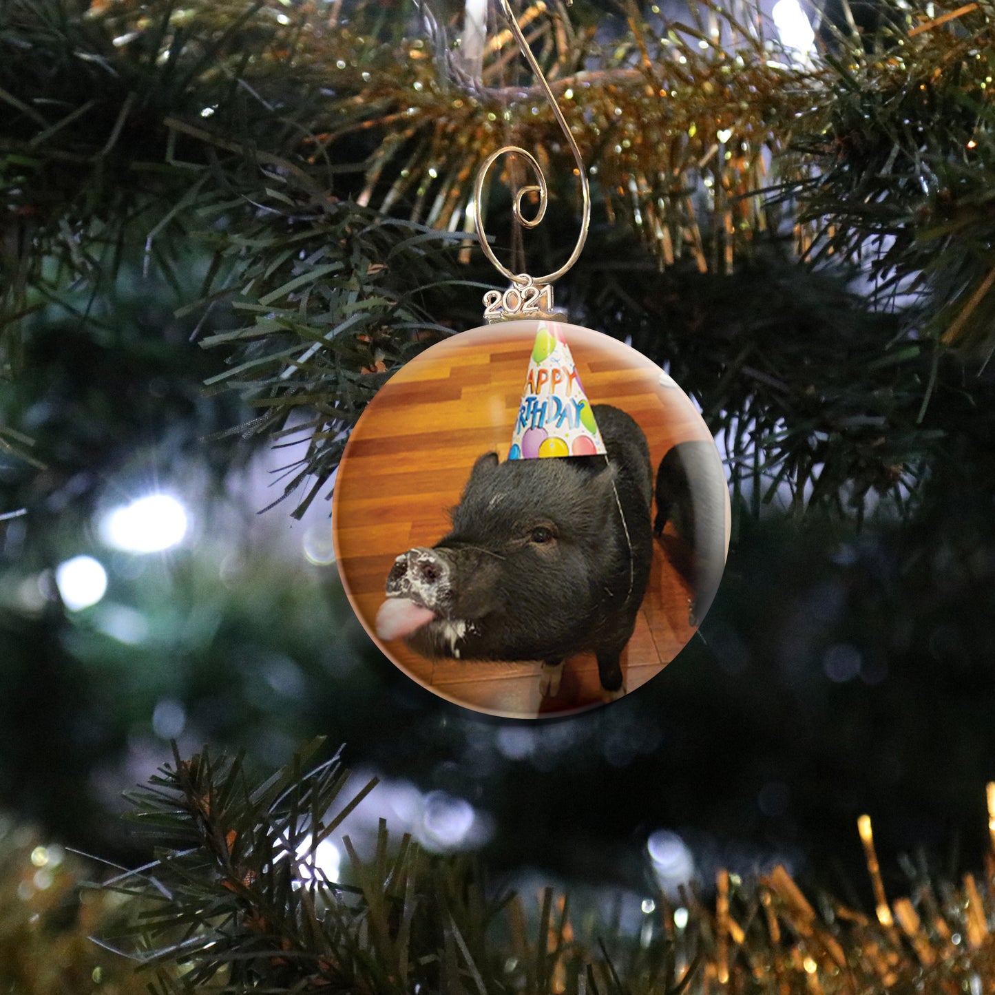 Pig Photo Ornament
